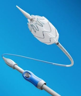 美敦力2019年財(cái)報(bào)深度解析 醫(yī)用帖劑業(yè)務(wù)表現(xiàn)與四大業(yè)務(wù)板塊全景圖